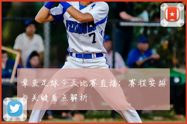 章鱼足球今天比赛直播：赛程安排与关键看点解析