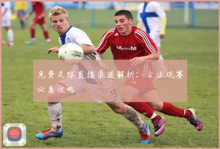 免费足球直播渠道解析：合法观赛必看攻略