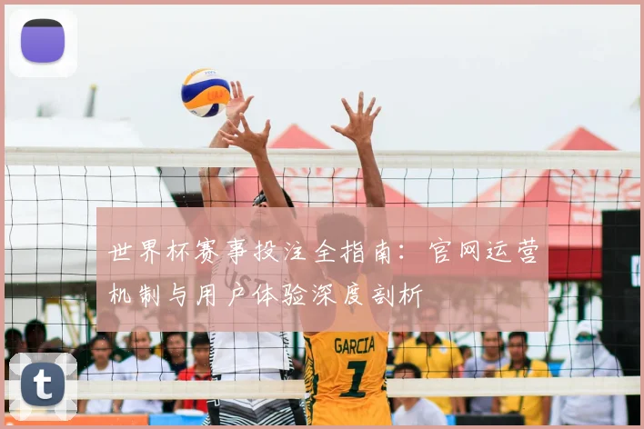 世界杯赛事投注全指南:官网运营机制与用户体验深度剖析