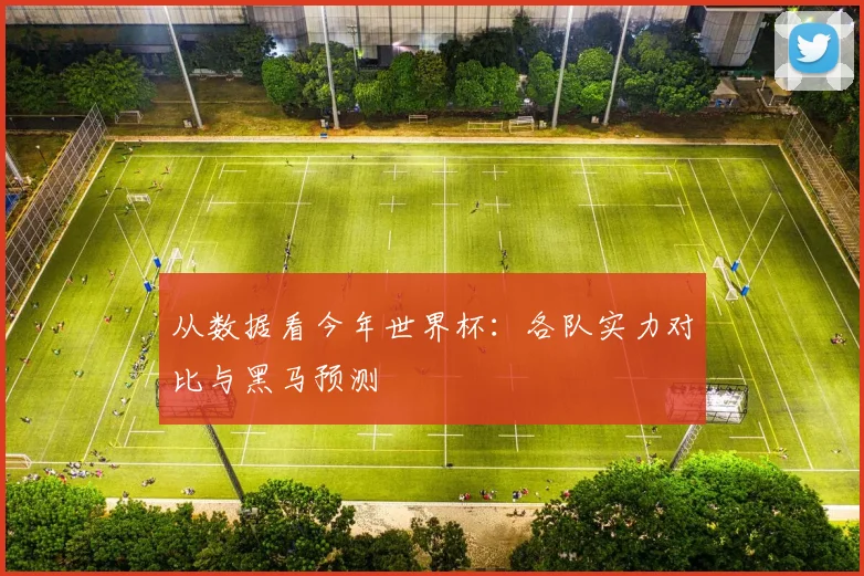 从数据看今年世界杯：各队实力对比与黑马预测