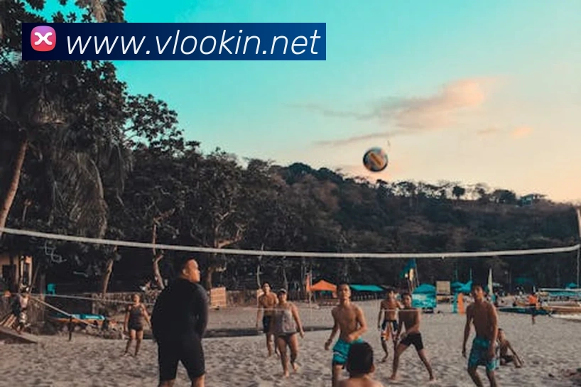 开云app网站品牌故事