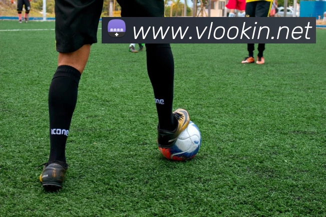 开云app网站服务体系